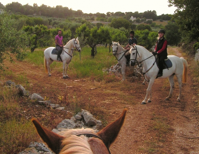 I nostri favolosi cavalli bianchi