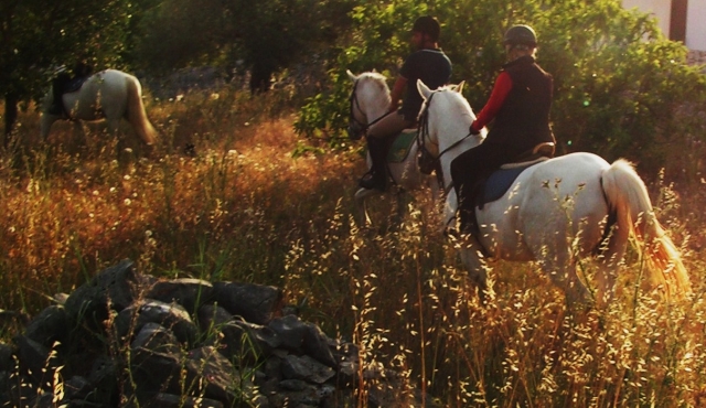 Cavalchiamo nel meglio della natura del territorio. Che aspetti a unirti?