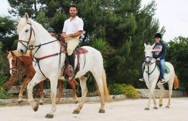 I nostri cavalli sono belli e mansueti