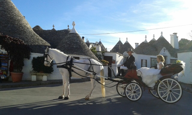 Noleggio Carrozza con Conducente