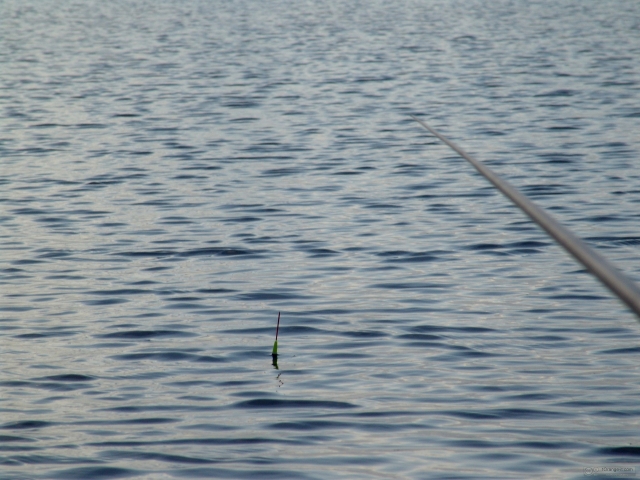 Pesca.jpg