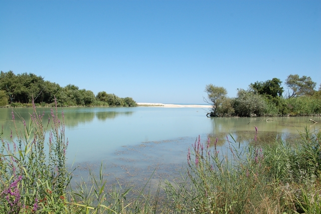  río Sangro hacia el estanque 