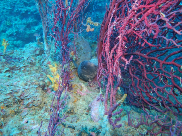  Ven y descubra el Mar de Calabria 