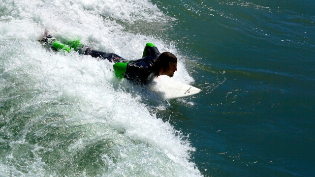 Surfando