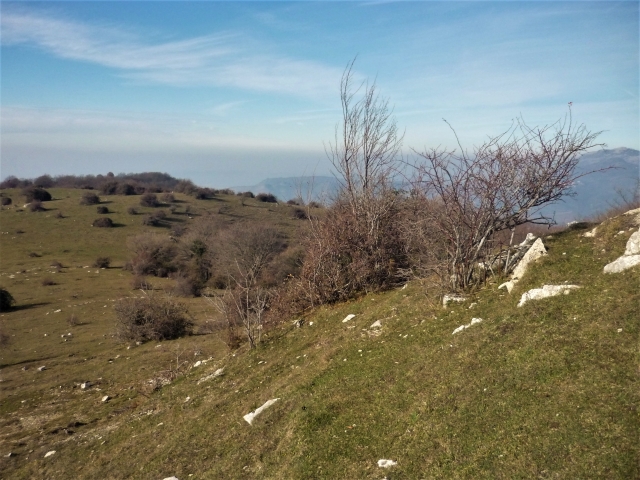 Montagne