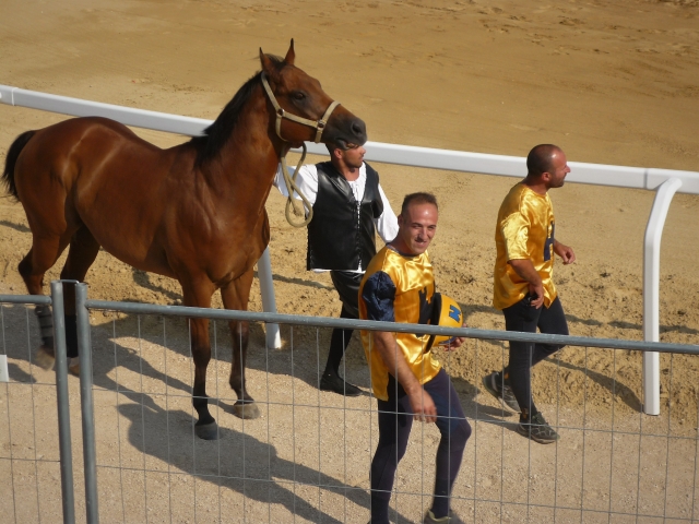 Il Palio Madama Margarita