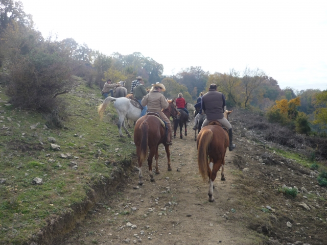 Trekking