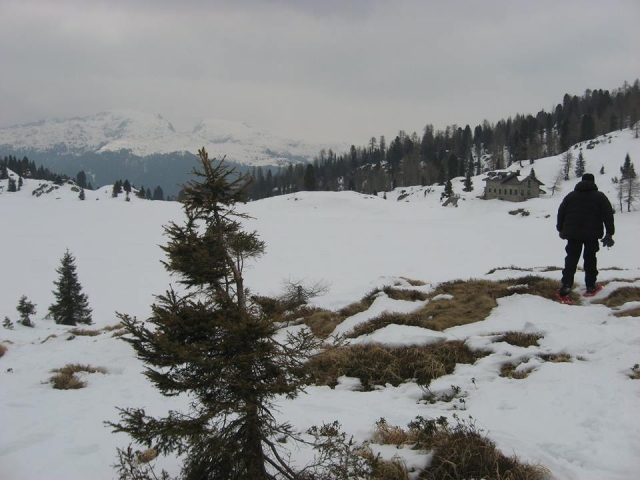 Caminhando com os raquetes de neve
