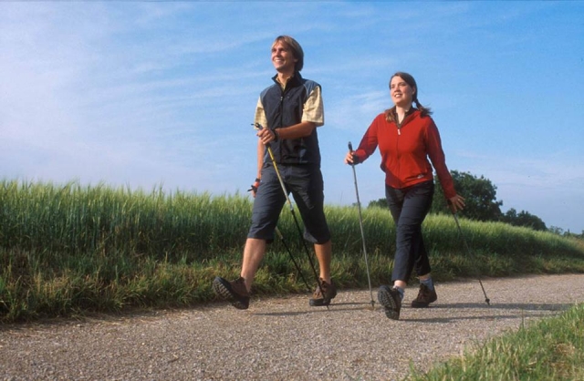 NORDIC WALKER CASAL