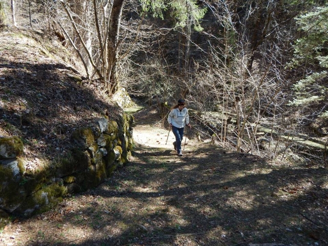 Nosso Walker Nordico