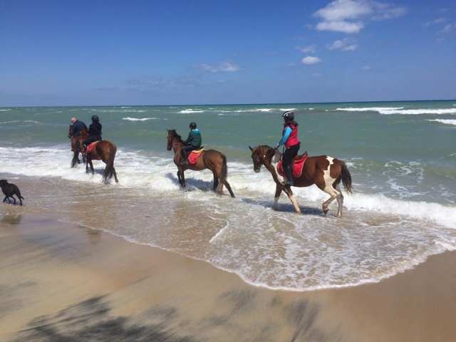 Tutti in sella in riva al mare