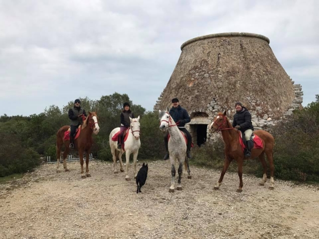  Torre Veneri
