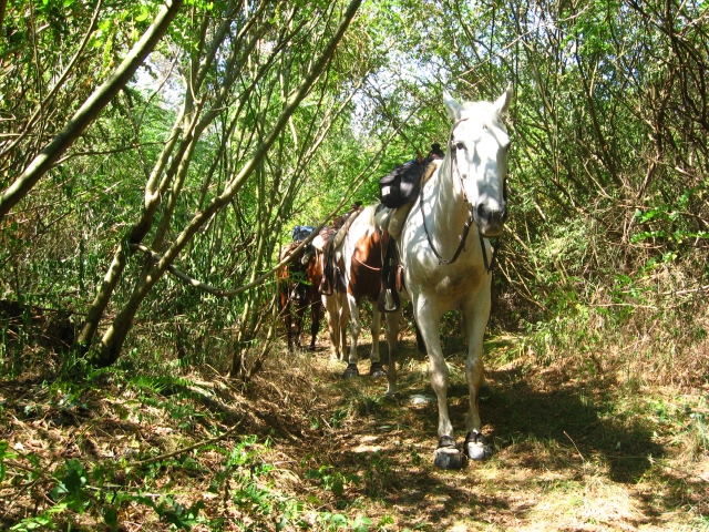 Trekking a cavallo