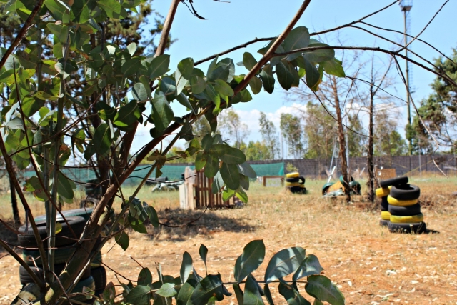 siamo immersi nella natura