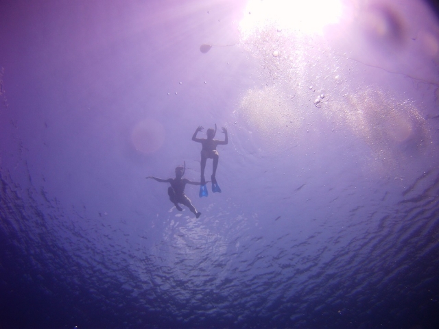 Aquatics 