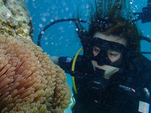  Discovering natural treasures 