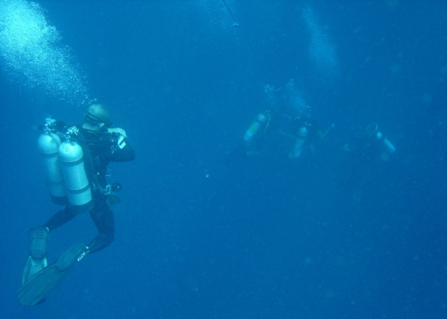  Group of experts in the sea 
