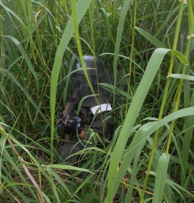 Mimetizzato tra l'erba