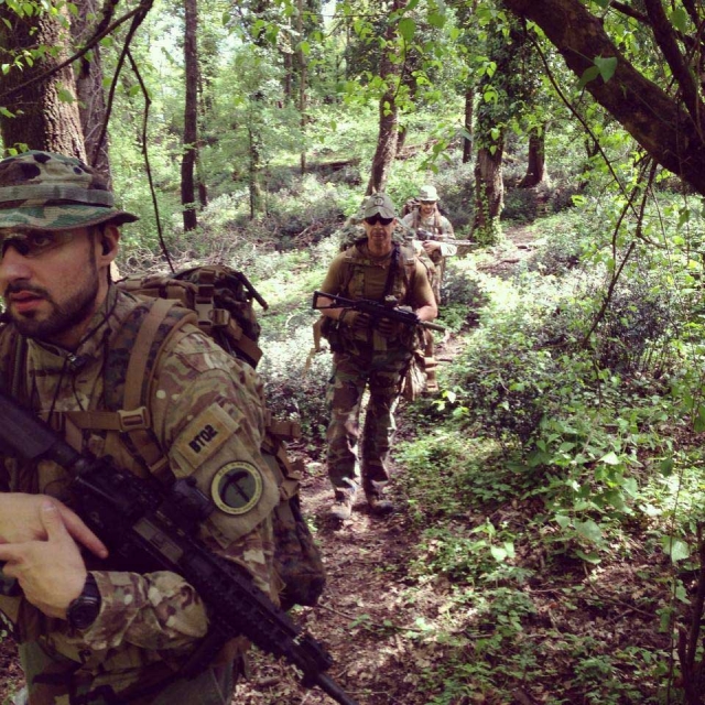  In the woods