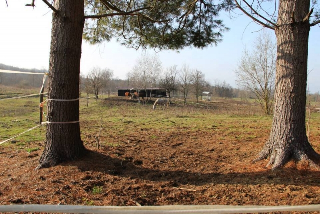 Paddock con capannina