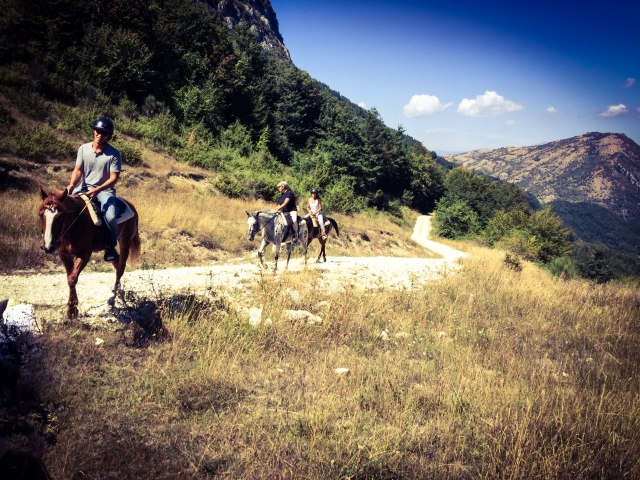  viajar entre las montañas 