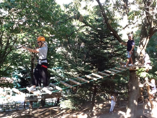 passeggiando tra gli alberi