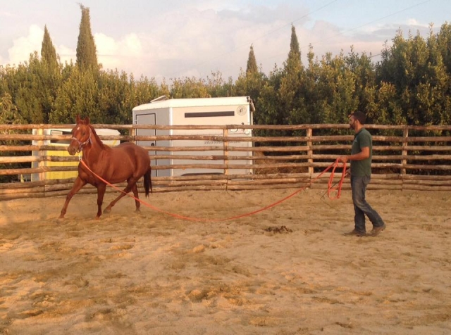  entrenamiento 