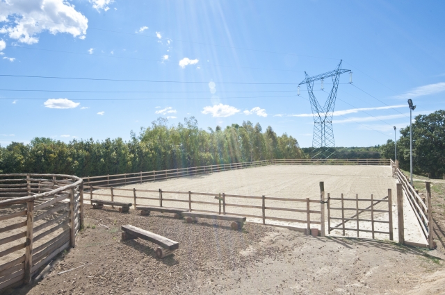  campo 