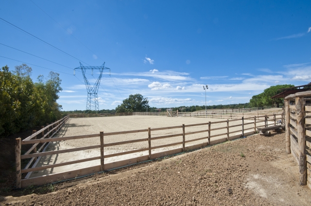  Field 