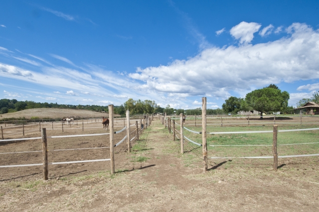  Paddocks individuales 