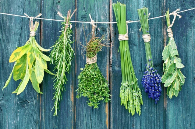  Quelques produits récoltés 