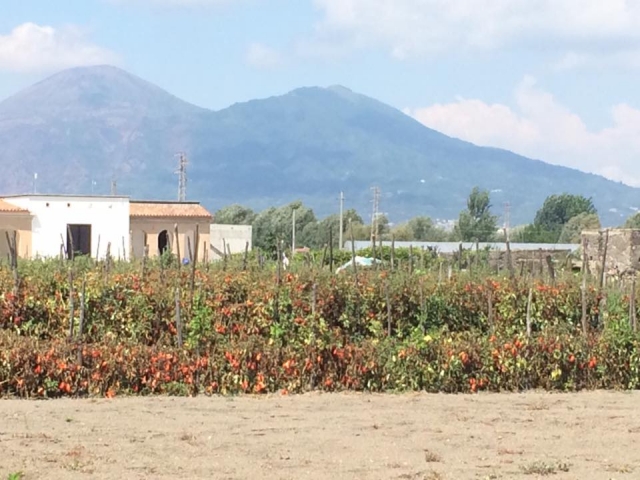  Champ le long du parcours