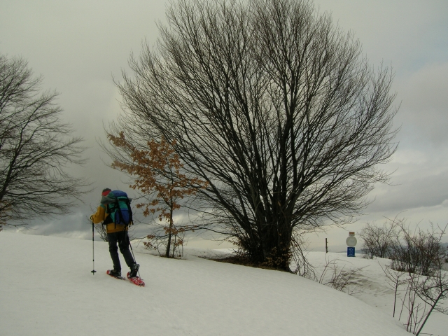 Camminiamo nella neve