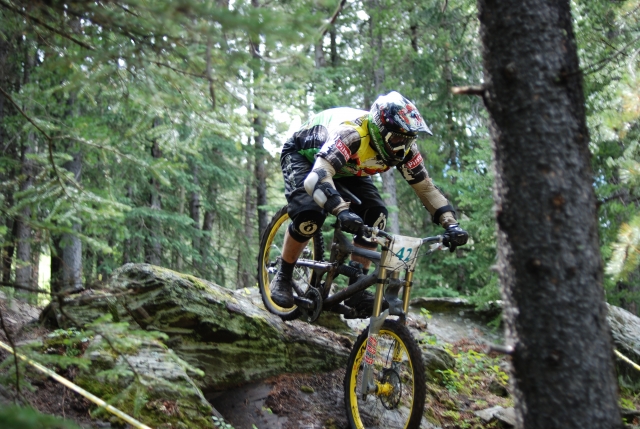 MTB tra i boschi