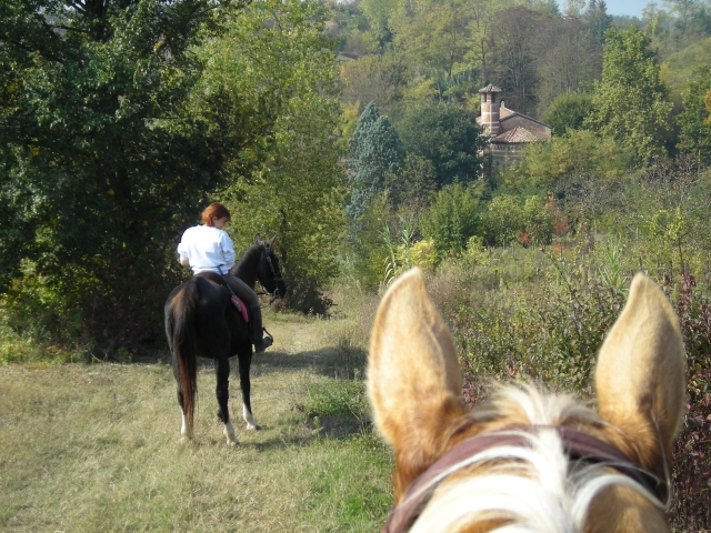  Balade à cheval 