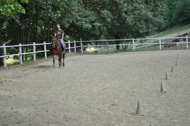  Cheval et cavalier 