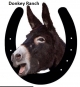 Donkey Ranch asd