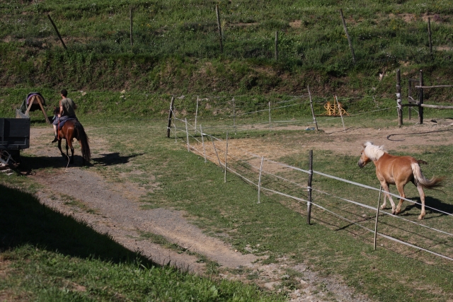 Inmersi nella natura 