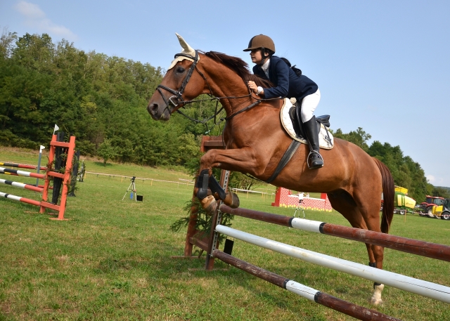 equitazione per i più piccoli