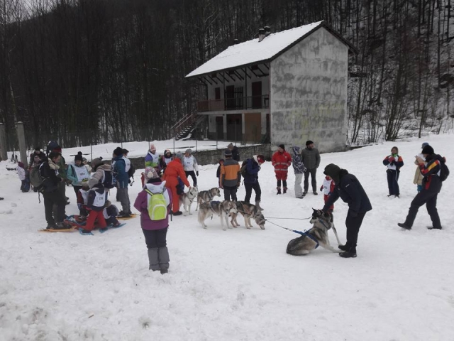  Snow Dogs 