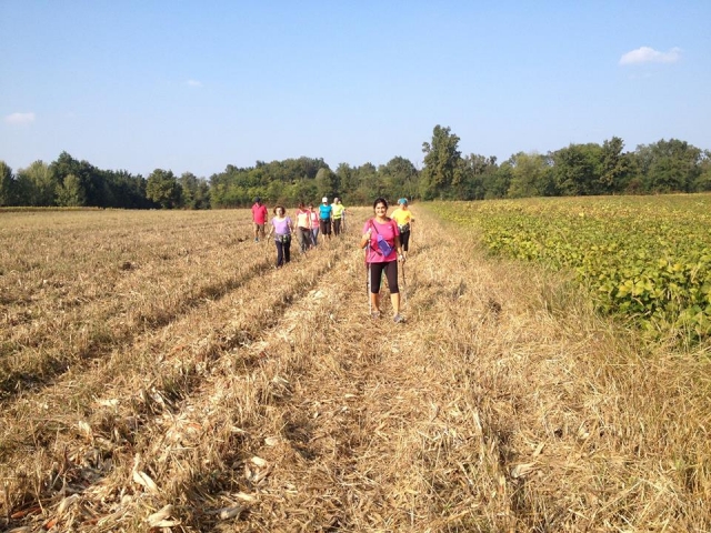  Walk in the fields 