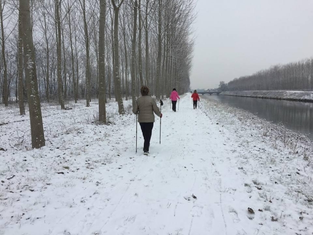  Under the snow 
