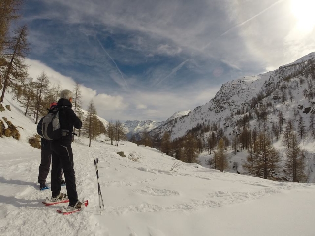 New Nordic Walking di Volpiano