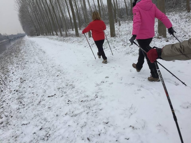  A nice snowfall 