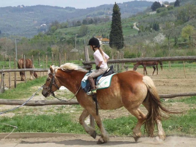 Lezione di equitazione