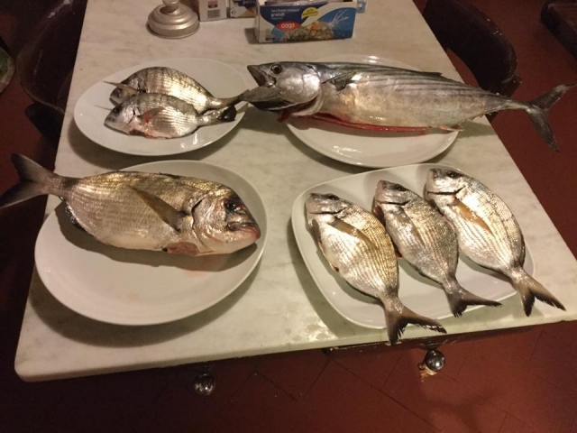  Ready for the barbecue 