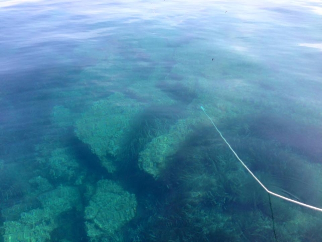  清澈的海水 