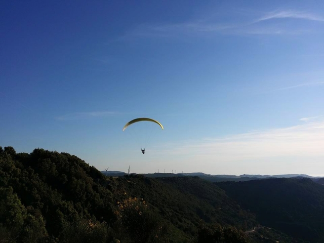 Colli sardi