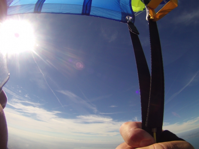 Volando nel cielo blu 