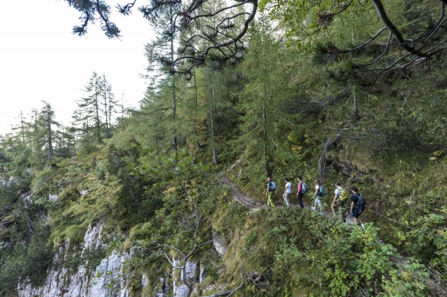 Trekking 